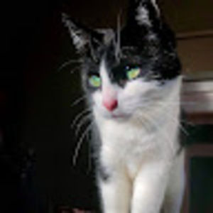 Meet your Posher, Emma